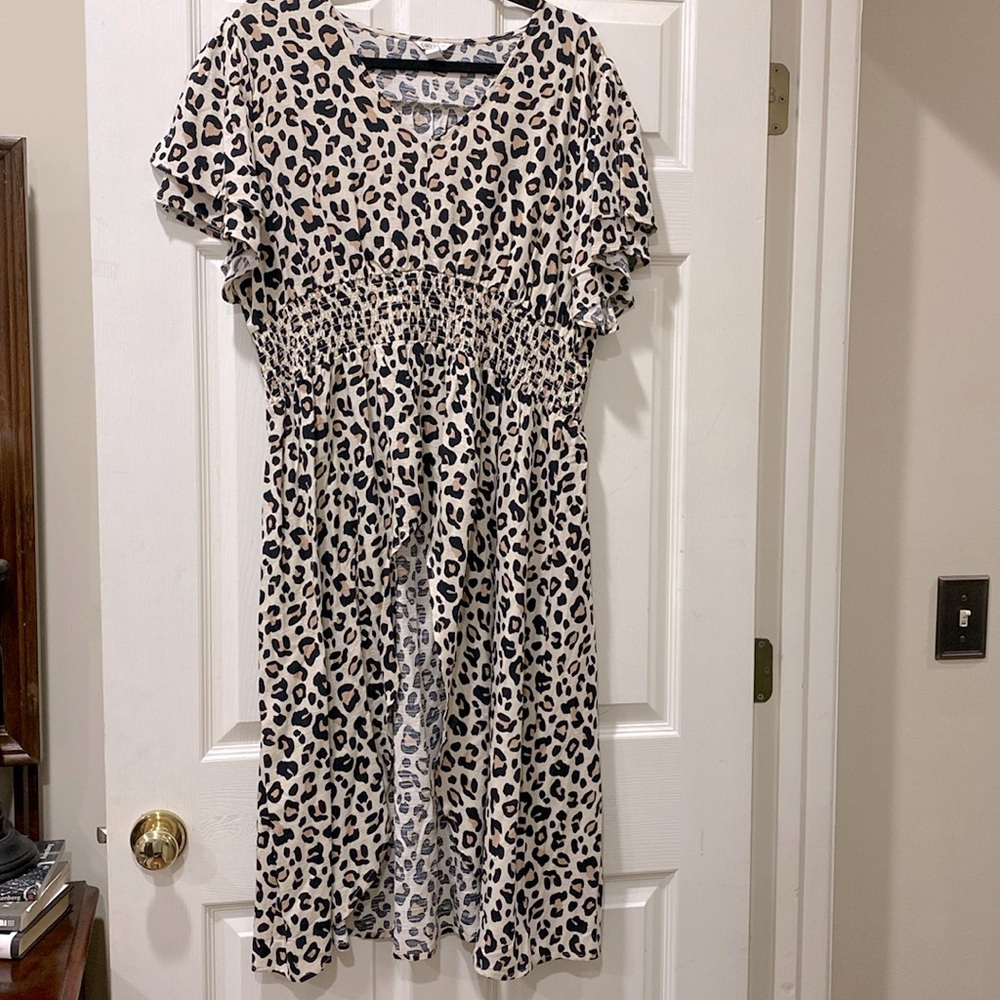 Sassy blouse with long back tail.  Elastic waist. Beautiful print. Never worn